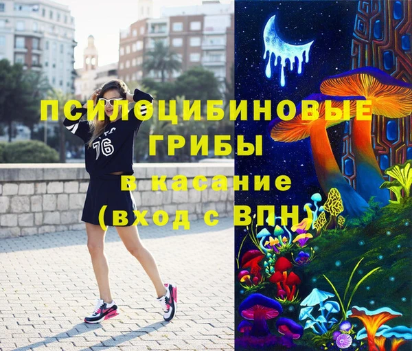 хмурый Приозерск