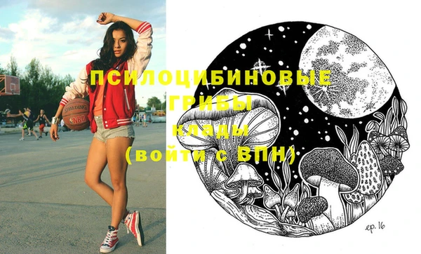 ПСИЛОЦИБИНОВЫЕ ГРИБЫ Пролетарск